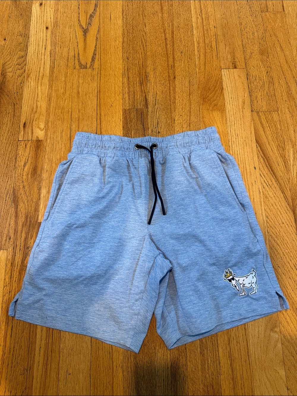 Goat Usa Light Blue Drawstring Casual Shorts with Embroidered Goat Youth XL